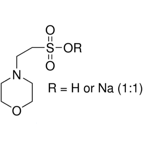 MES Hemisodium Salt CAS 117961-21-4 Purity >99.0% (Titration) Biological Buffer