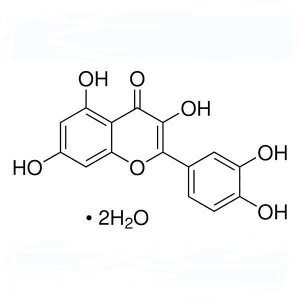 Quercetin Dihydrate CAS 6151-25-3 Sophora Japonica Extract 95% 98% Factory